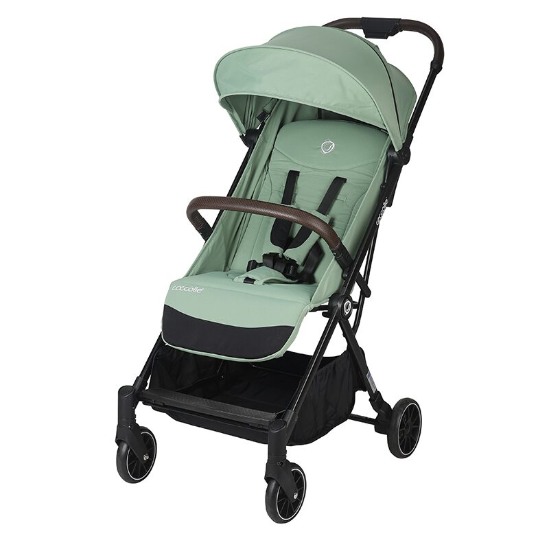 Coccolle-Melia-Mistletoe-green