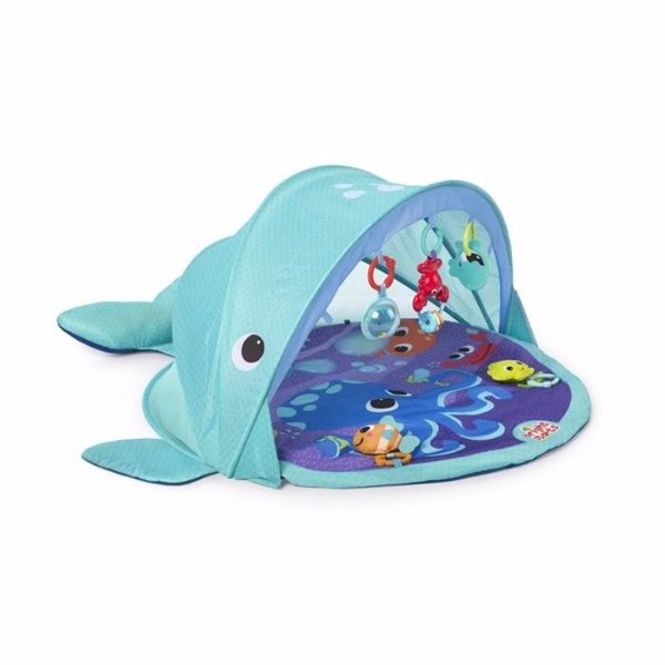 Salteluta de activitati Bright Starts Explore & Go Whale