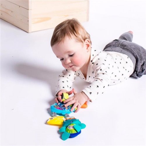 Jucarie muzicala Baby Einstein Glow&Go