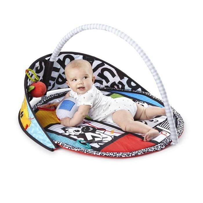 Salteluta de activitati Baby Einstein Bold New World