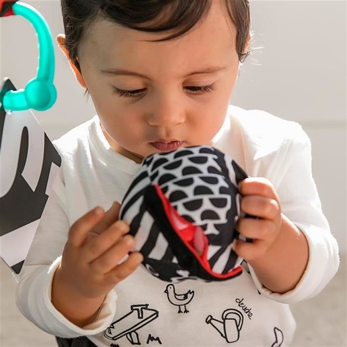 Salteluta de activitati Baby Einstein Bold New World