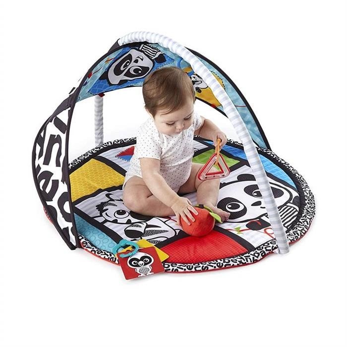 Salteluta de activitati Baby Einstein Bold New World