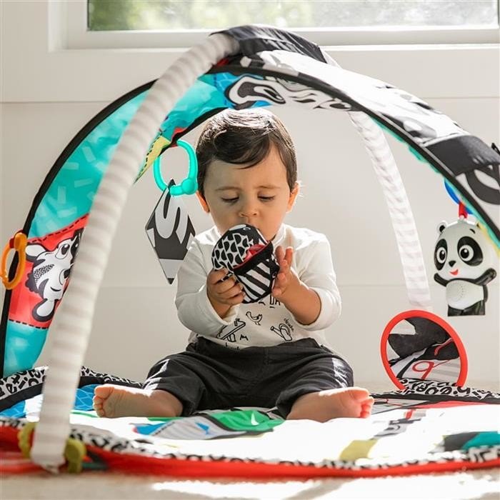 Salteluta de activitati Baby Einstein Bold New World