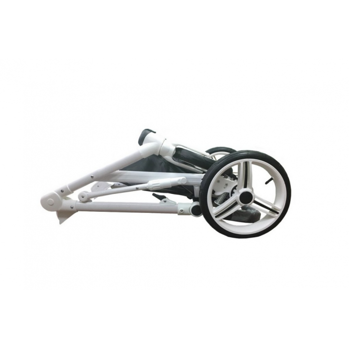 carucior 2 in 1 pentru copii