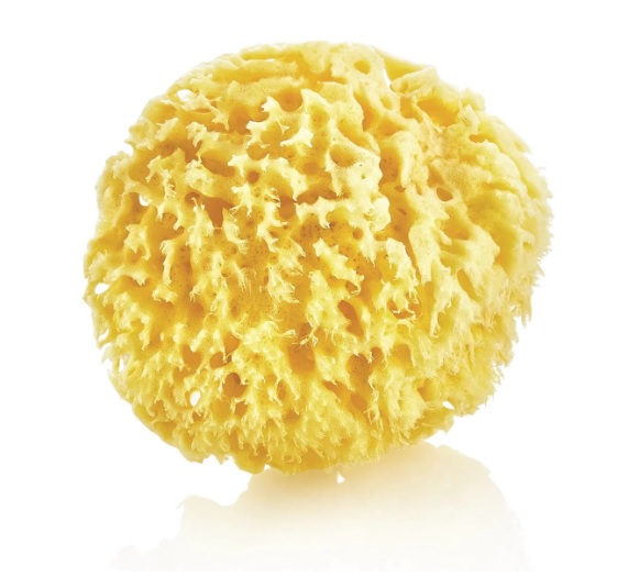 Burete natural pentru bebelusi BabyJem Sea Sponge