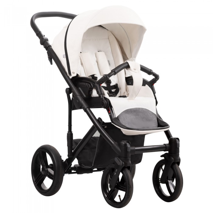 carucior 2 in 1 pentru copii