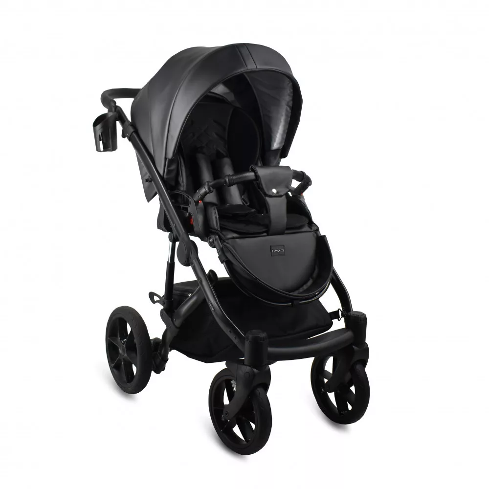 carucior 2 in 1 pentru copii