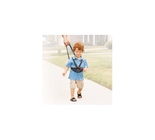Dreambaby F292 Ham pentru copii Deluxe