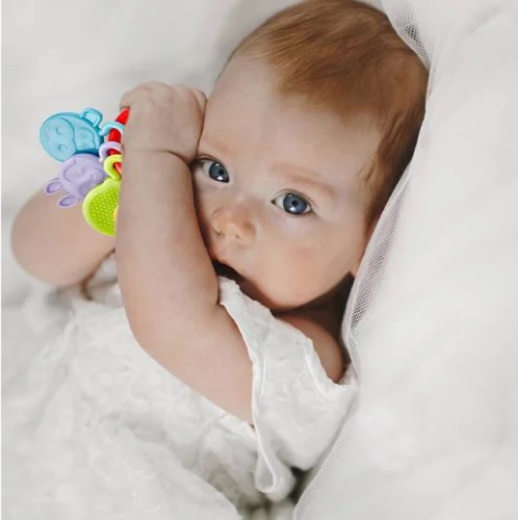 Jucarie dentitie BabyJem Rattle Teether Rosie
