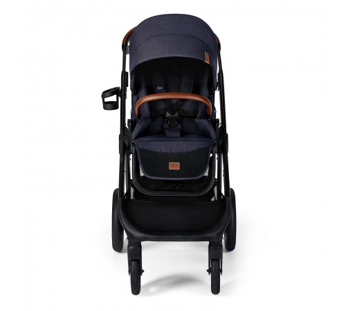 carucior 2 in 1 pentru copii
