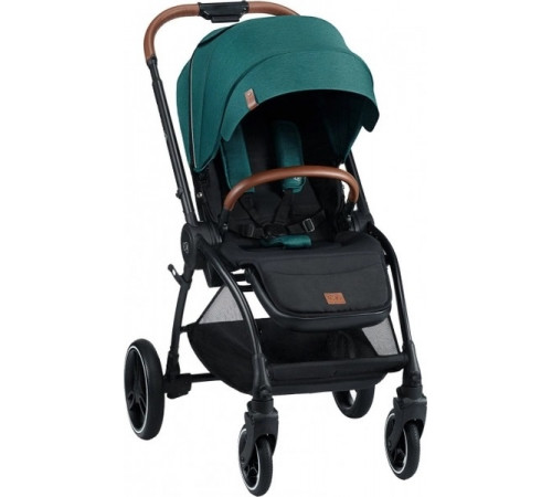carucior 2 in 1 pentru copii