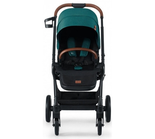carucior 2 in 1 pentru copii