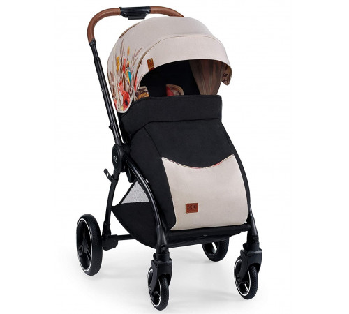 carucior 2 in 1 pentru copii