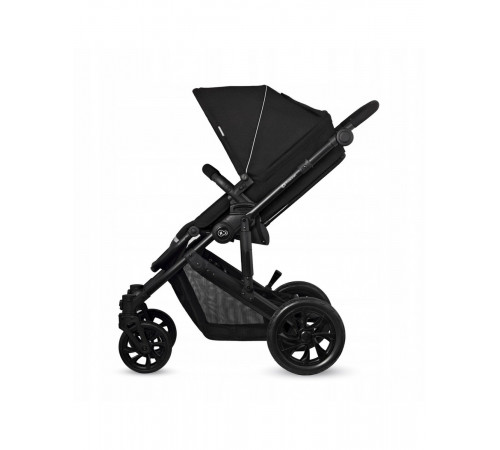 carucior 2 in 1 pentru copii