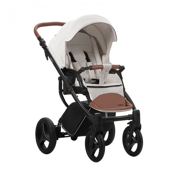 carucior 2 in 1 pentru copii