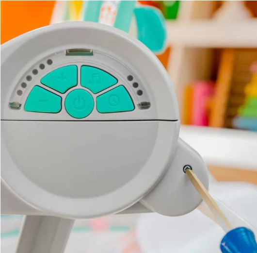 Leagan portabil Bright Starts Whimsical Wild