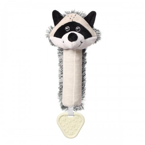 RACOON ROCKY