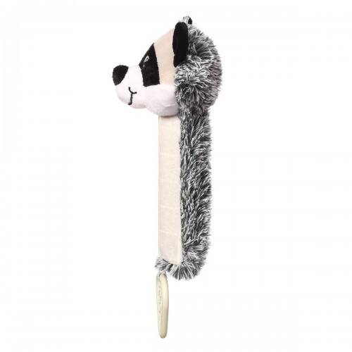 RACOON ROCKY