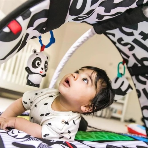 Salteluta de activitati Baby Einstein Bold New World