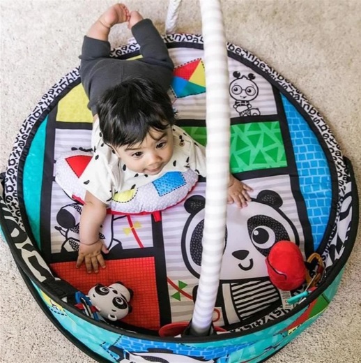Salteluta de activitati Baby Einstein Bold New World