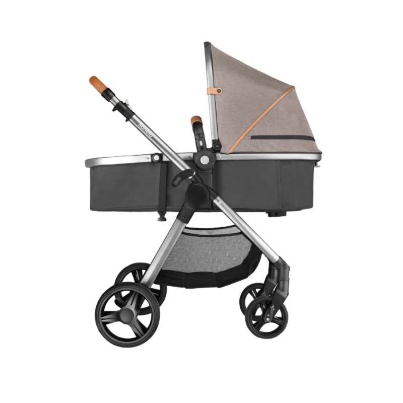 carucior 2 in 1 pentru copii