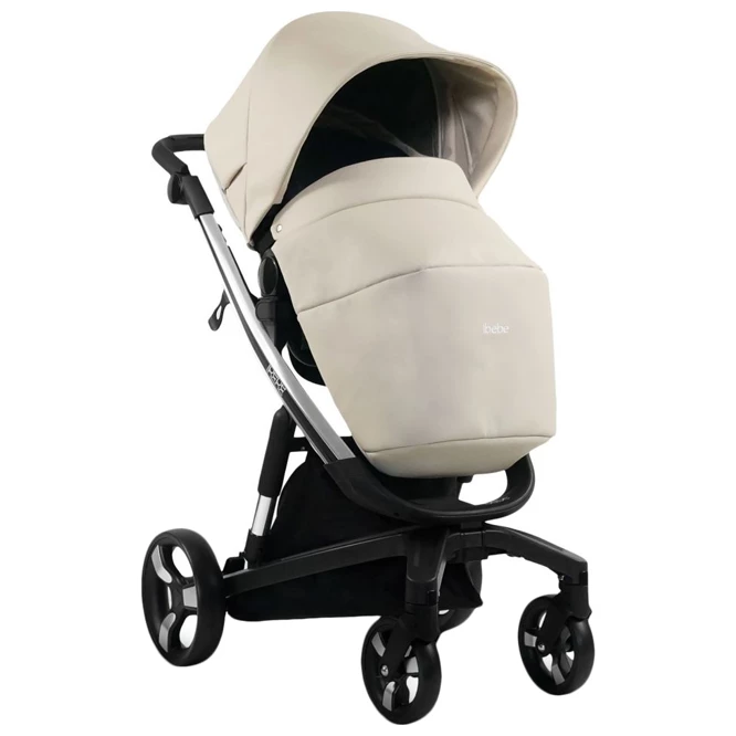 carucior 2 in 1 pentru copii