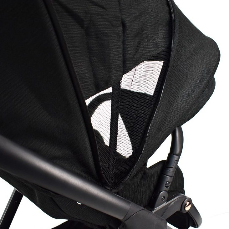 carucior 2 in 1 pentru copii
