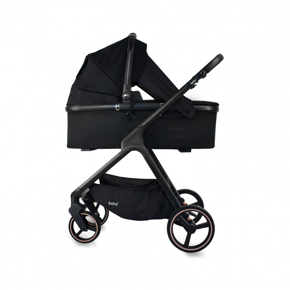 carucior 2 in 1 pentru copii