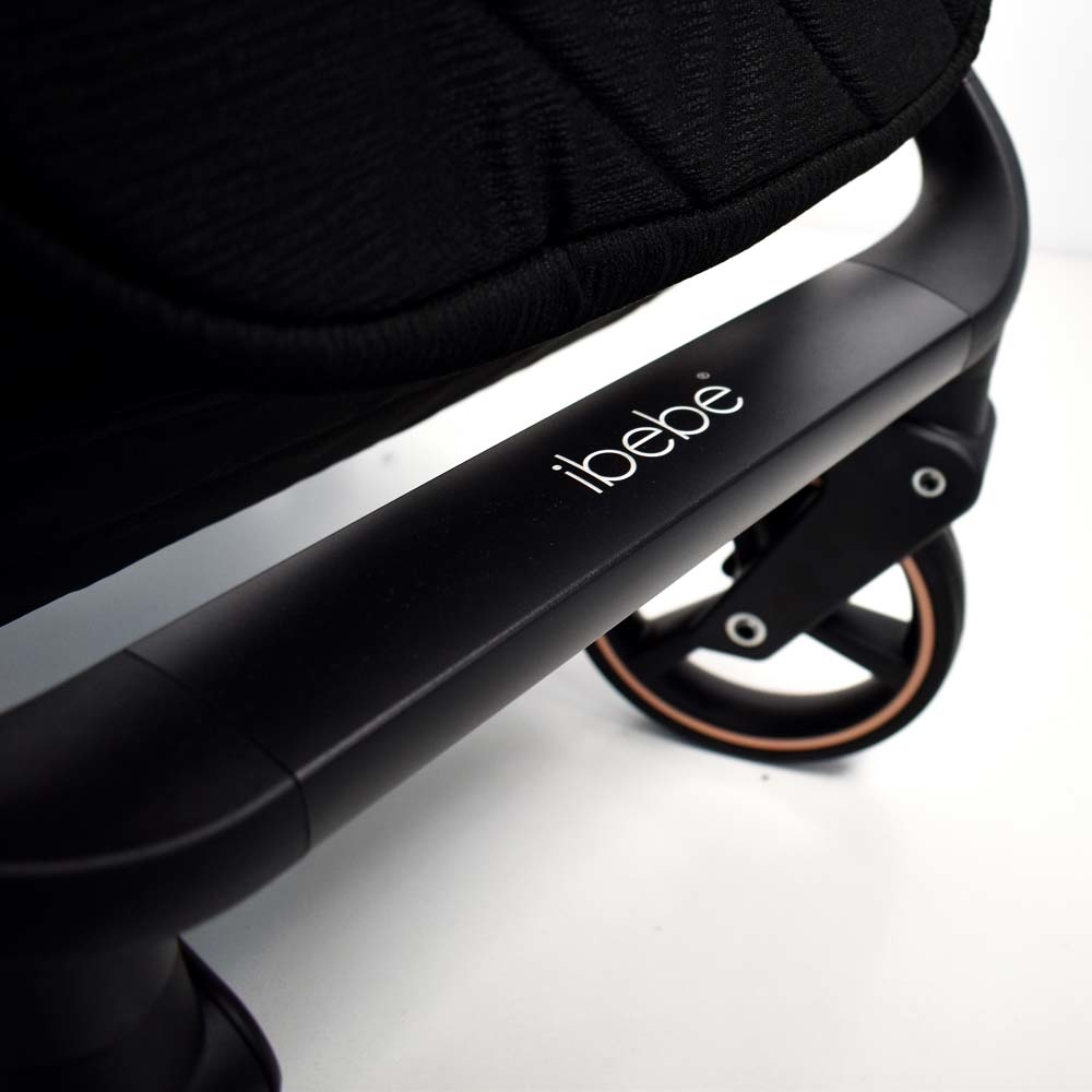 carucior 2 in 1 pentru copii
